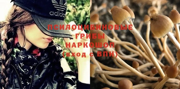 наркотики Михайлов
